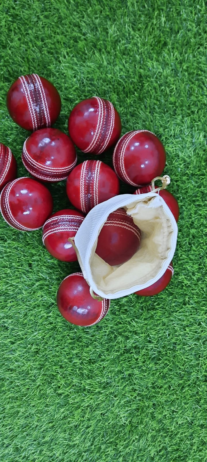 Shrinika Match Pro – 40 Over Leather Ball - Set of 6 Pc - Shrinika Sports