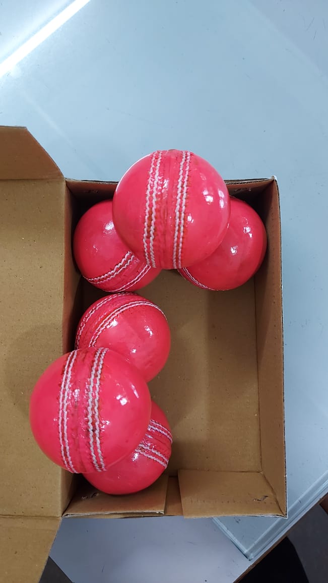 Shrinika Practice Ball – 20 Over Durable Leather Ball - Set of 6 Pc - Shrinika Sports