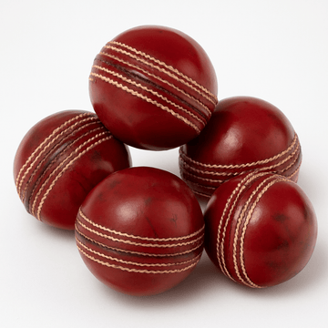 Shrinika Practice Ball – 20 Over Durable Leather Ball - Set of 6 Pc - Shrinika Sports
