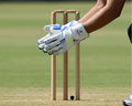 Shrinika Wicket Keeping Gloves - Shrinika Sports